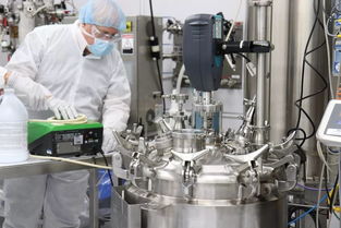 益生菌命名或?qū)⒏拢删w療法獲歐盟重磅資助引領(lǐng)技術(shù)突破